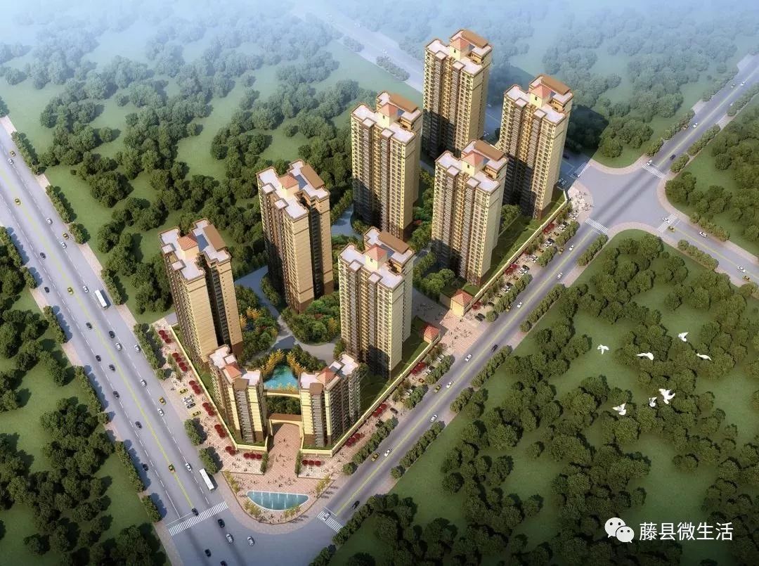 藤县二手房市场最新动态解析