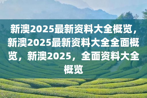 新澳2025年最新版资料,新澳2025年最新资料概览
