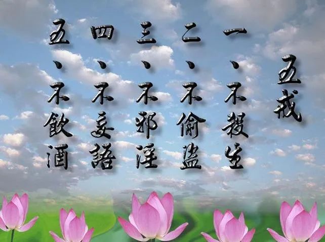 新澳门平特一肖中特;词语释义解释落实