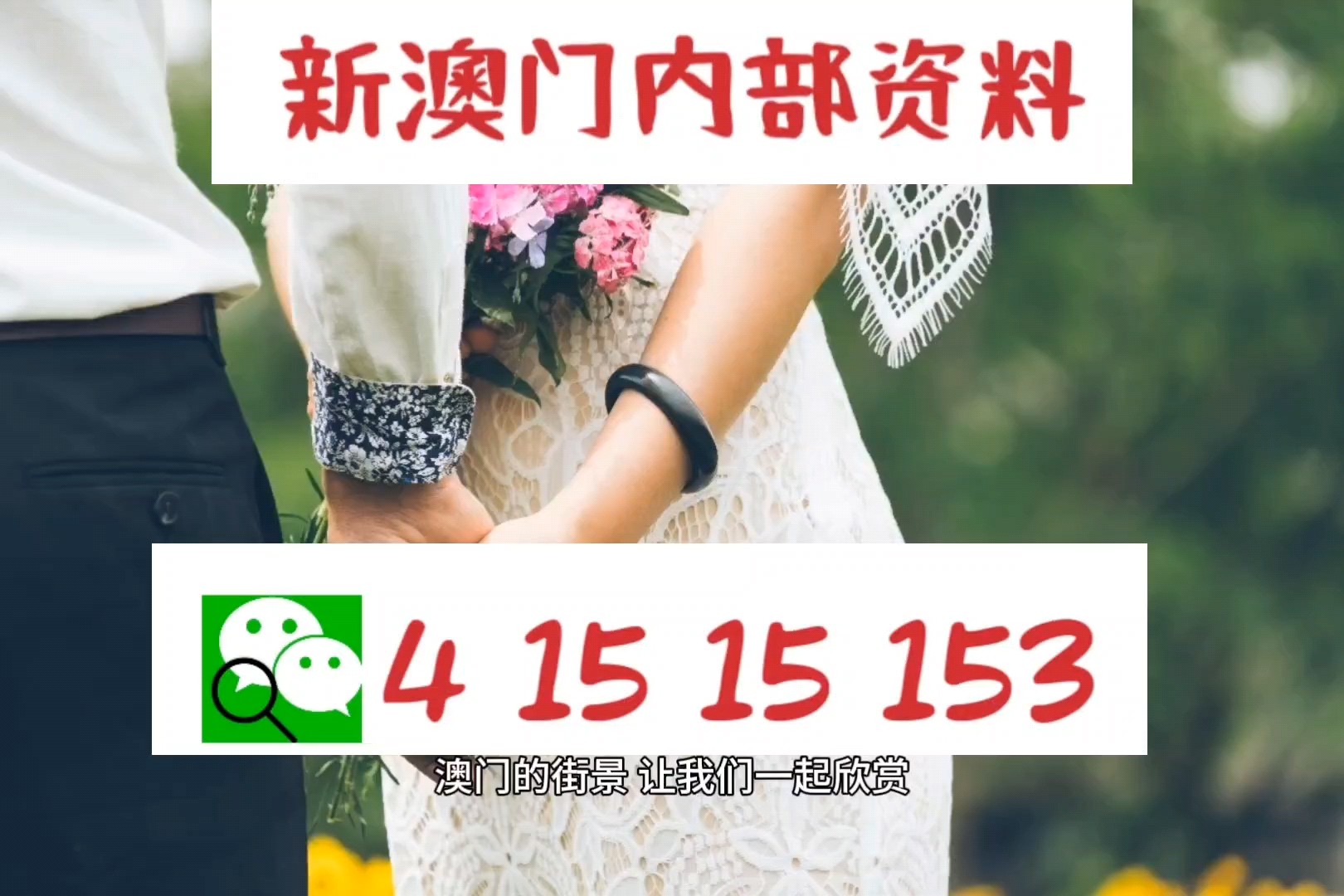 2024新澳门正版免费挂牌灯牌;实用释义解释落实