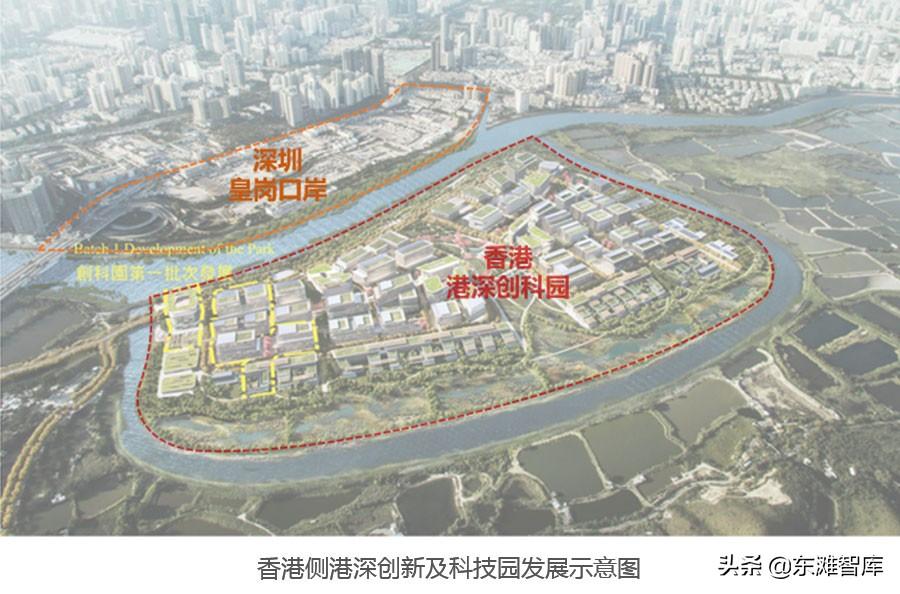 新澳门2024年正版免费公开;词语释义解释落实