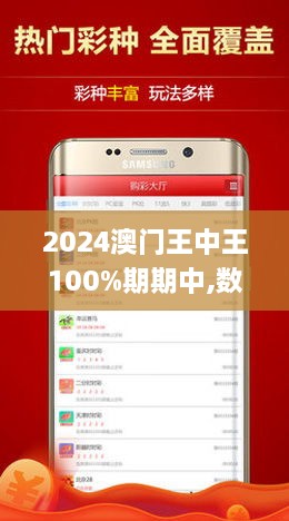2024澳门王中王100%期期中,精选解释解析