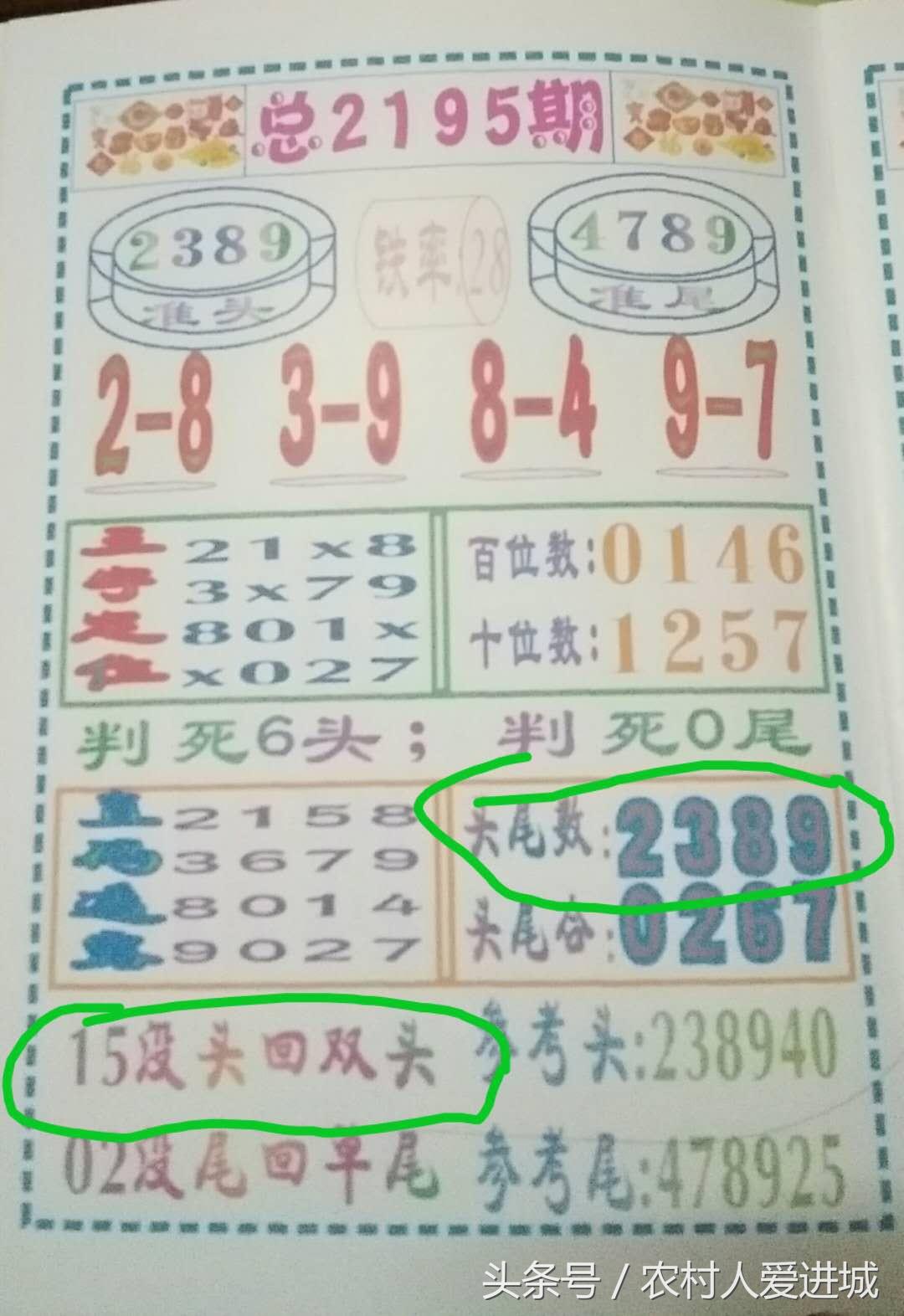 新澳门四肖期期准中特;全面释义解释落实