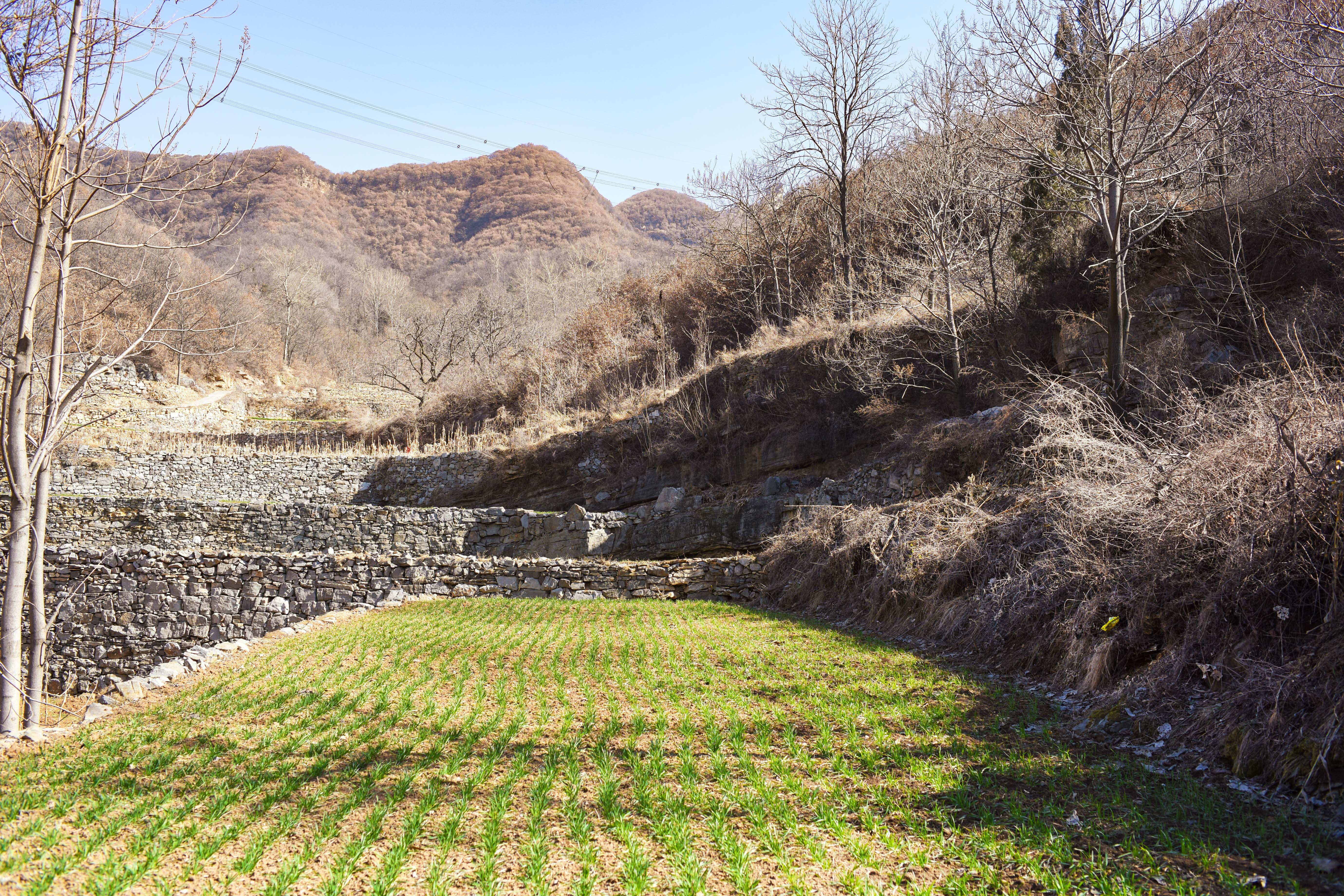 九龙沟风景区最新消息